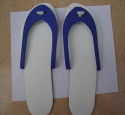 Slipper -adult